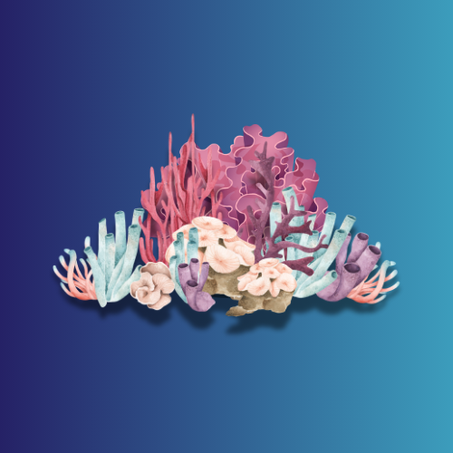 Coral Gardening Project Bali